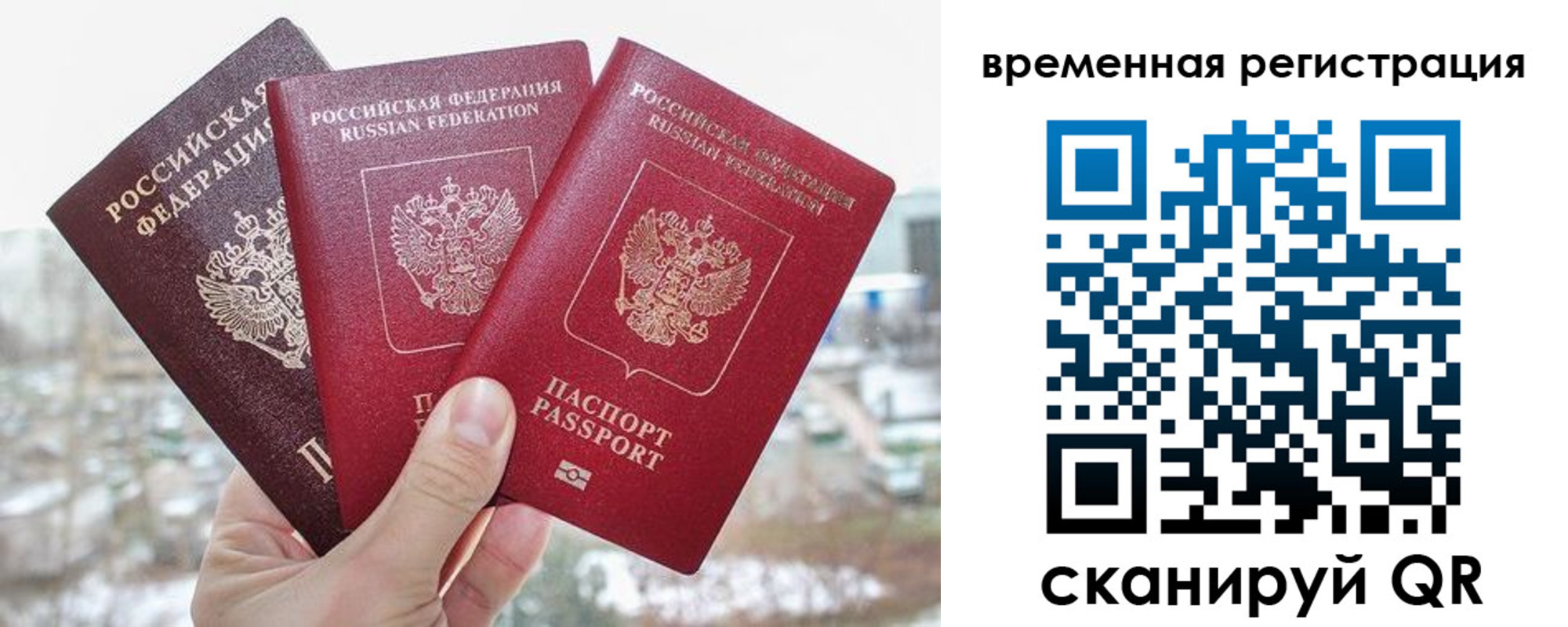временная регистрация поиск в Вязьме