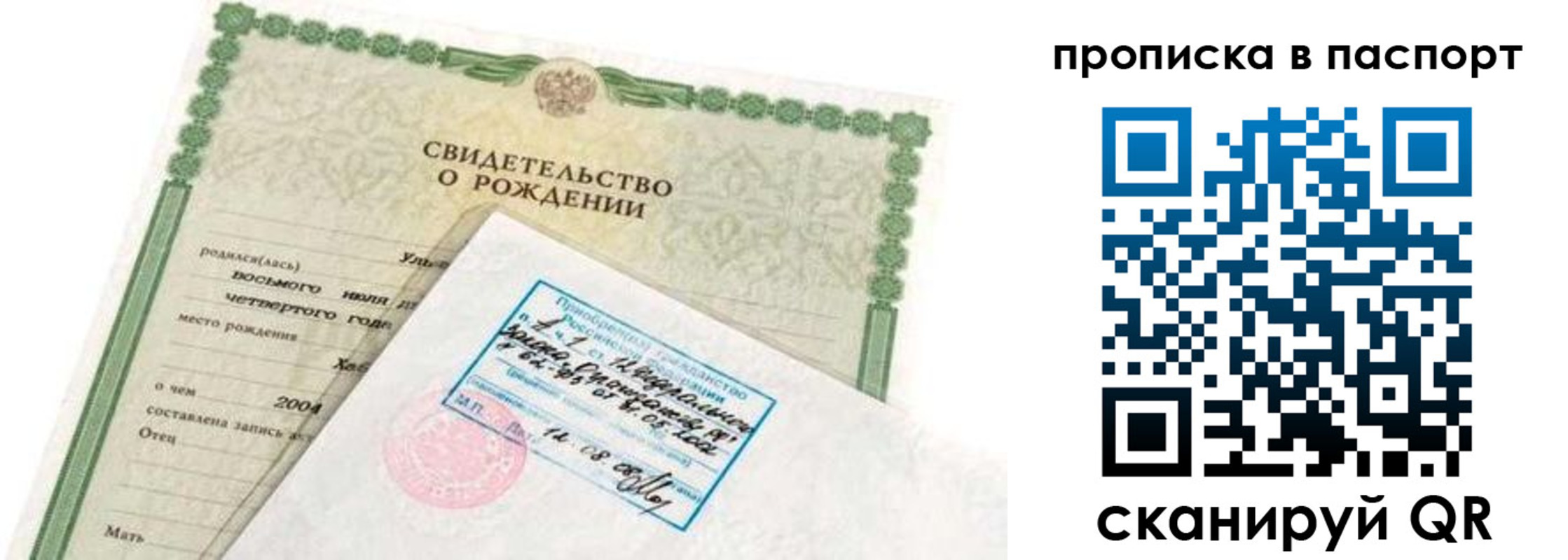 прописка поиск в Вязьме